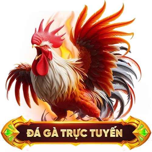 đá gà trực tuyến U888